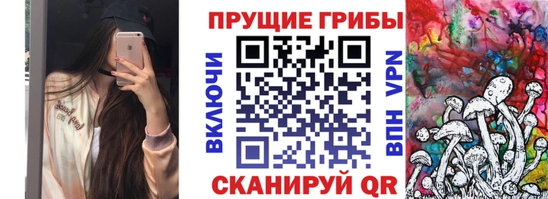 сколько стоит  Княгинино  это какой сайт  Галлюциногенные грибы Psilocybine cubensis 