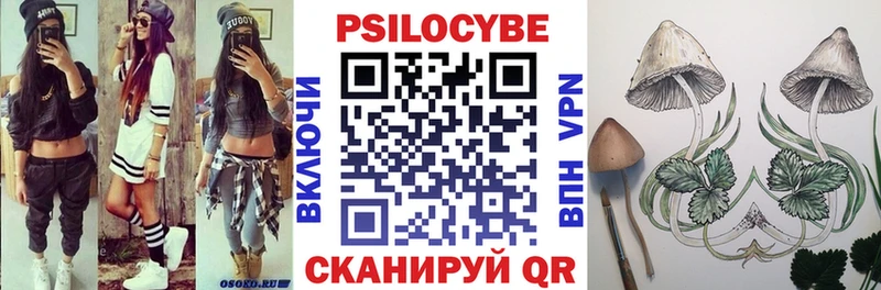 Псилоцибиновые грибы Psilocybe Княгинино